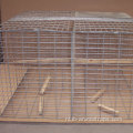 Vogelbesturing anti duiven residentiële dakvogels spikes